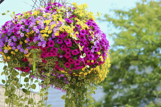 732521 (a): :2700x1800